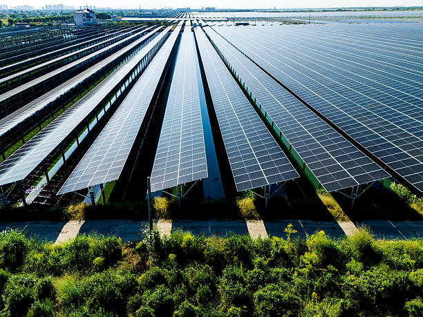 Electric Solar